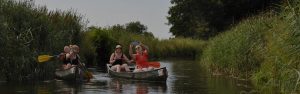 Canoeing tour from Borkel en Schaft